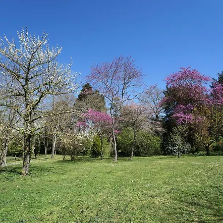 ベッド・アンド・ブレックファスト Domaine De Lanis - D'hotes Avec Parc Et Piscine カステルノーダリ